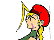 ekindos-cammy1-tn.gif (2930 bytes)