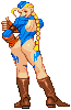 Shadowloo Cammy!
