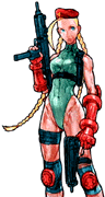 Armed to the teeth... ARSF Cammy!