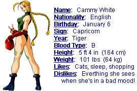 21 Facts About Cammy (Street Fighter) 