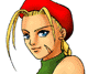 aki-dcammy3-tn.gif (3134 bytes)