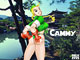 fedx-cammy-tn.jpg (3627 bytes)