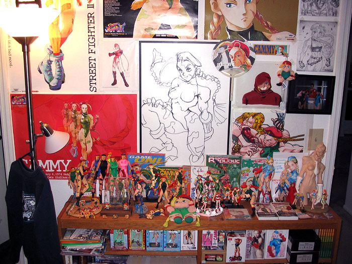 cammy-collect.jpg (158908 bytes)