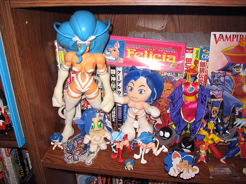 felicia-collect.jpg (80527 bytes)