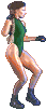 camsfm-bwin1.gif (2135 bytes)