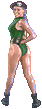 camsfm-bwin4.gif (2163 bytes)