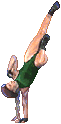 camsfm-cspike.gif (2795 bytes)