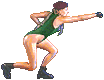 camsfm-frccr.gif (2667 bytes)