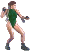 camsfm-fwd.gif (17331 bytes)