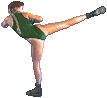 camsfm-fwd.gif (2606 bytes)