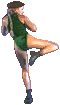camsfm-fwd2.gif (2163 bytes)