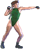 camsfm-jab.gif (2846 bytes)