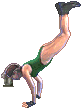 camsfm-rhcls.gif (2306 bytes)