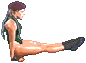 camsfm-rhcr.gif (2153 bytes)