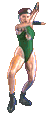 camsfm-salwin.gif (2597 bytes)