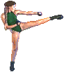 camsfm-shrt.gif (2683 bytes)