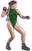camsfm-stnd.gif (15458 bytes)