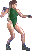 camsfm-stnd.gif (2524 bytes)