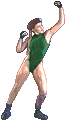camsfm-strcls.gif (2539 bytes)