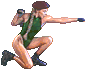 camsfm-strcr.gif (2743 bytes)