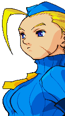 cam3-vsport.gif (4870 bytes)