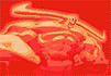intro-pyron-tn.gif (3271 bytes)