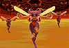 intro-q-bee-tn.gif (3494 bytes)