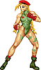 sf2-cammy-detail-tn.gif (2406 bytes)