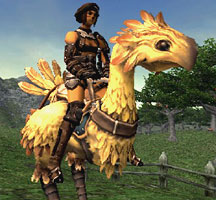 Chocobo rider!